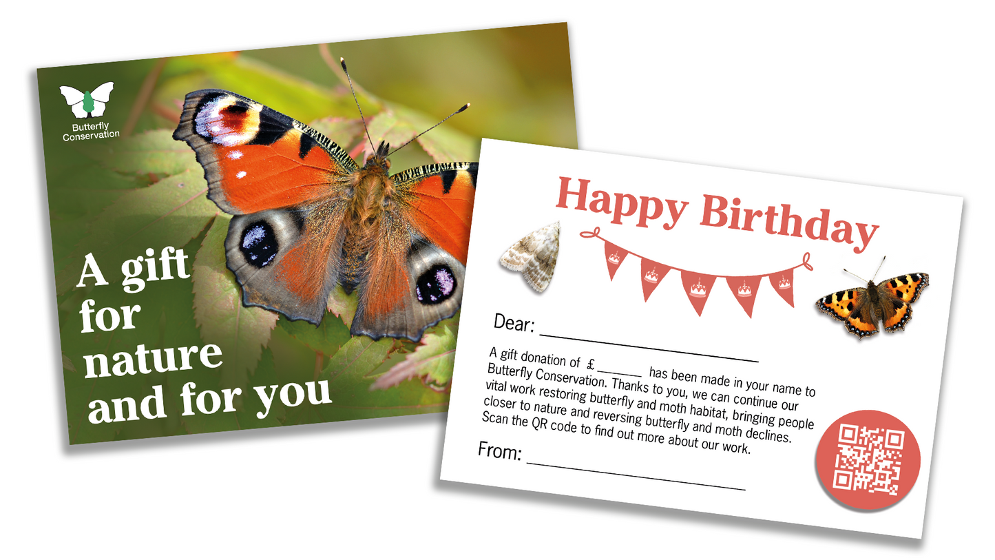 Donation in lieu of a Birthday Gift