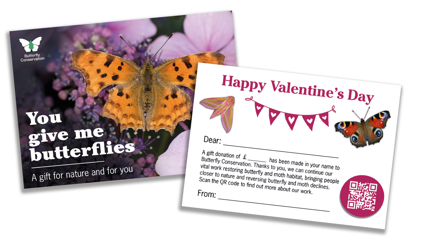 Donation in lieu of a Valentine's Day Gift