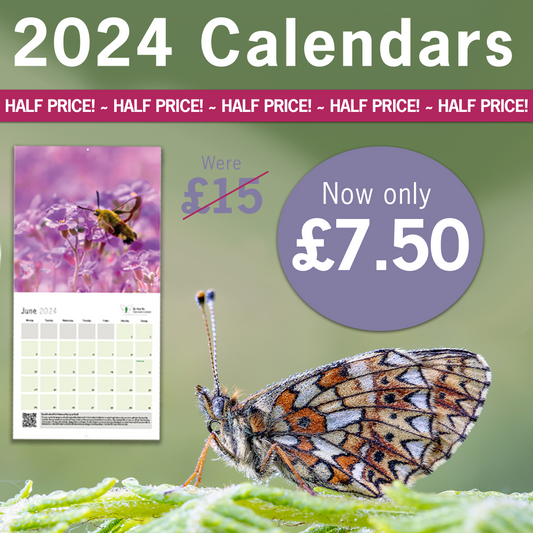 2024 Butterfly Conservation Calendar