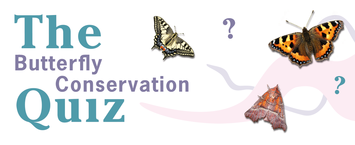 The Butterfly Conservation Quiz